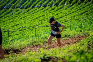 BIB: 
                            <button type="button" onclick="openModal(19161978)" class="btn btn-primary btn-sm float-right btn-popup" data-toggle="modal" data-target=".modal-high-quality">
                        <i class="fas fa-shopping-cart"></i> Add to Cart
                    </button>
                                            <button type="button" onclick="isThisMe(19161978, true)" class="btn btn-success btn-sm float-right btn-popup btn-isme hidden" data-toggle="tooltip" data-placement="bottom" title="นี่คือรูปของคุณใช่ไหม คลิกที่นี่เพื่อเอาเข้าอัลบั้ม">
                        <i class="fas fa-plus"></i> Add to album
                    </button>
                    <button type="button" onclick="isThisMe(19161978, false)" class="btn btn-warning btn-sm float-right btn-popup btn-isnotme hidden">
                        <i class="fas fa-ban"></i> Remove from album
                    </button>